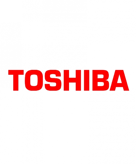 Toshiba Secure HDD 80 GB